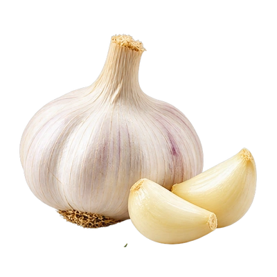 Fresh garlic